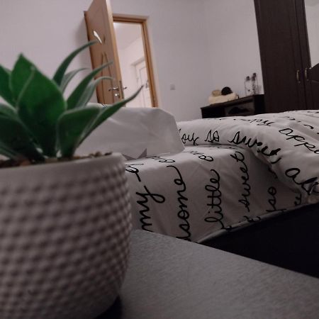 Casa Anastasiei Braszów Zewnętrze zdjęcie