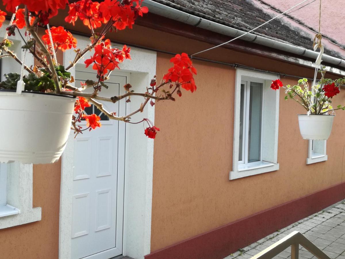 Casa Anastasiei Braszów Zewnętrze zdjęcie
