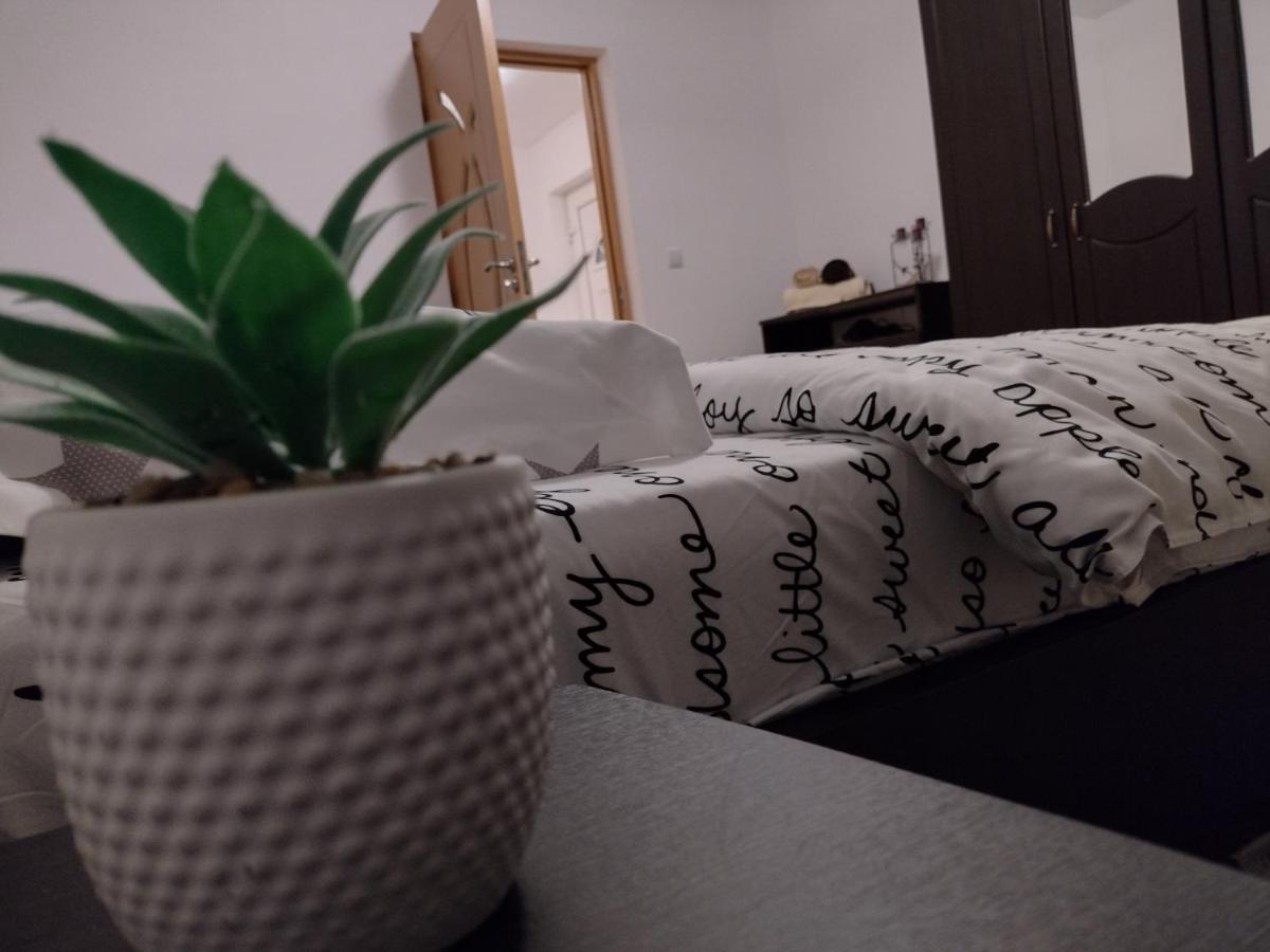 Casa Anastasiei Braszów Zewnętrze zdjęcie